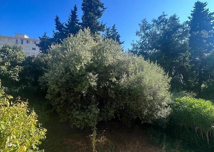 Daire Bilocale Le Furama Antibes